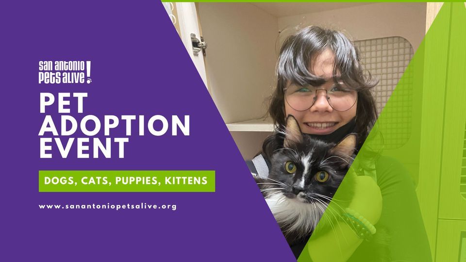 SAPA! Caturday - Cat & Kitten Adoption Event