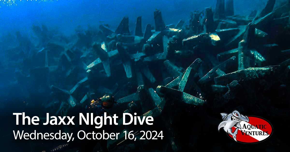 The Jaxx Night Shore Dive