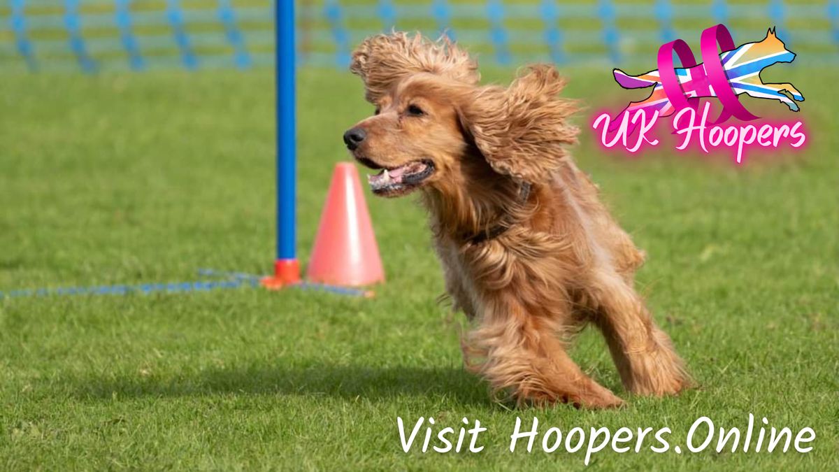 UK Hoopers at Festival of British Agility