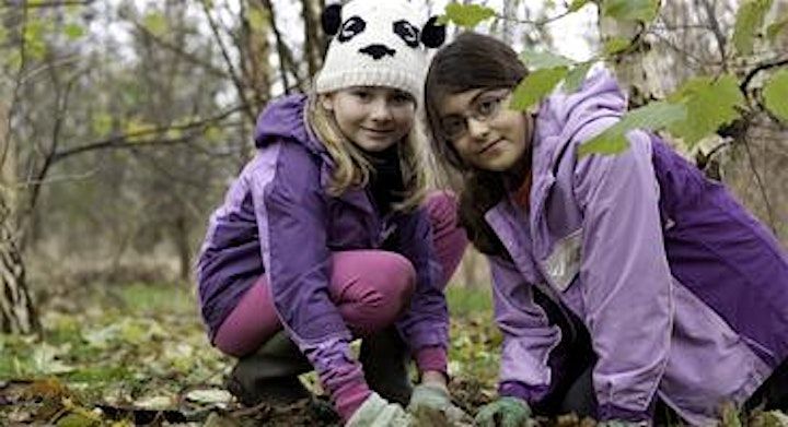 Hanningfield Festive Family Forest Fun