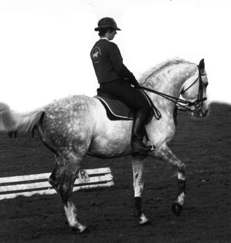 14 - 16 February - Classical Dressage Practically Applied to Achieve Lightness (CDPA) Carwoola NSW 