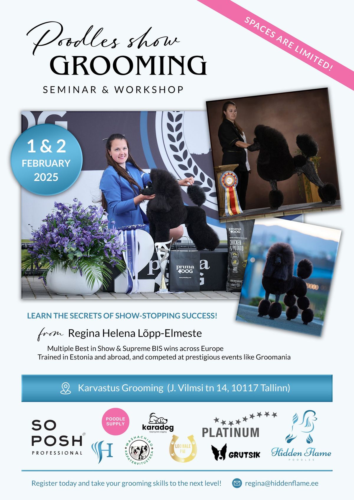 Poodles Show Grooming - Seminar & Workshop