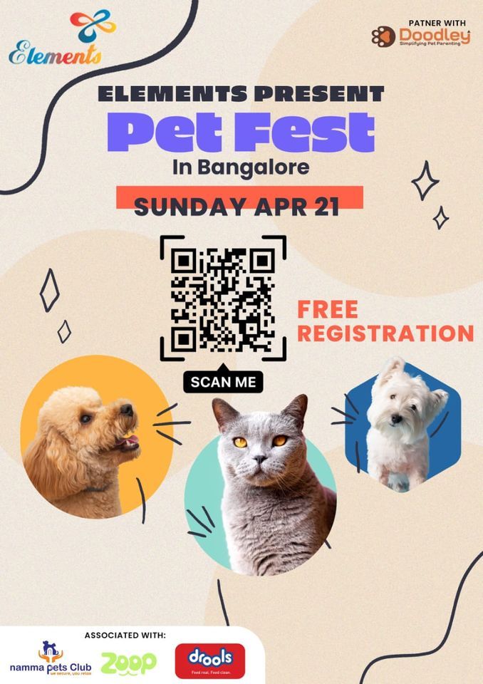 Pet Festival 