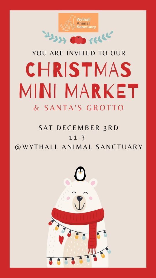 Christmas mini market & Santas Grotto