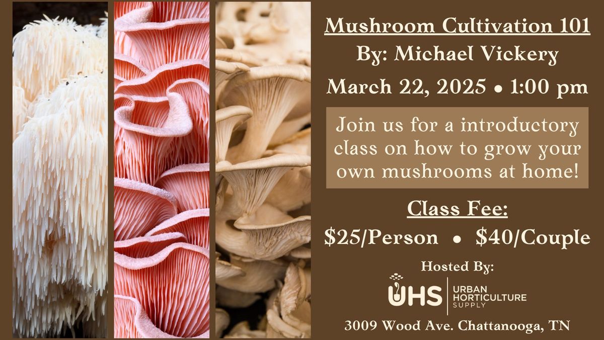 Mushroom Cultivation 101 with Michael Vickery