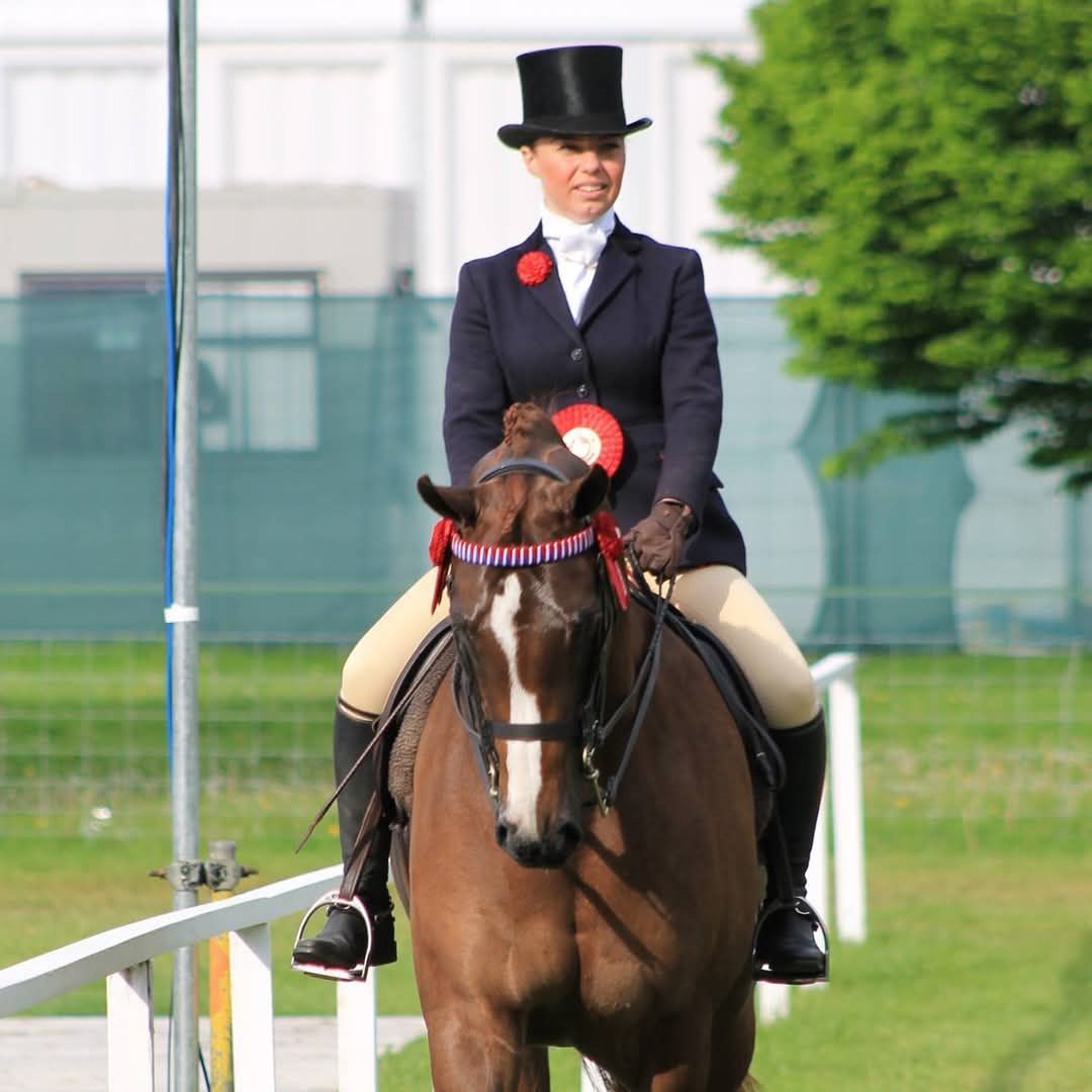 Moorhouse Equestrian Center Showing Clinic