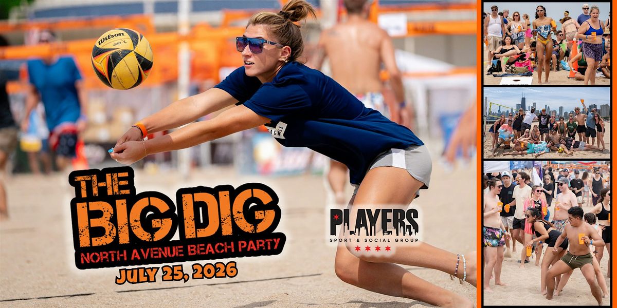 The Big Dig - North Ave Beach Party