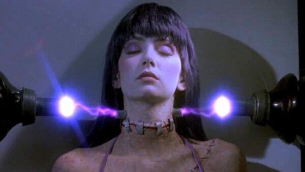 CIN\u00c9MA, WTF : FRANKENHOOKER de Frank Henenlotter