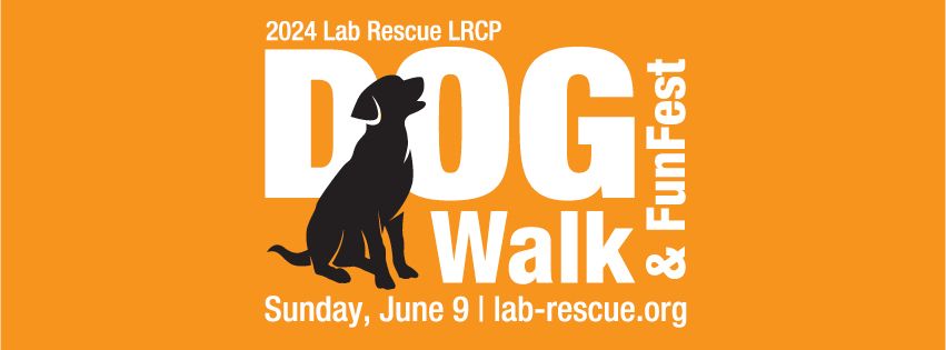 Lab Rescue DogWalk & FunFest with CGC testing