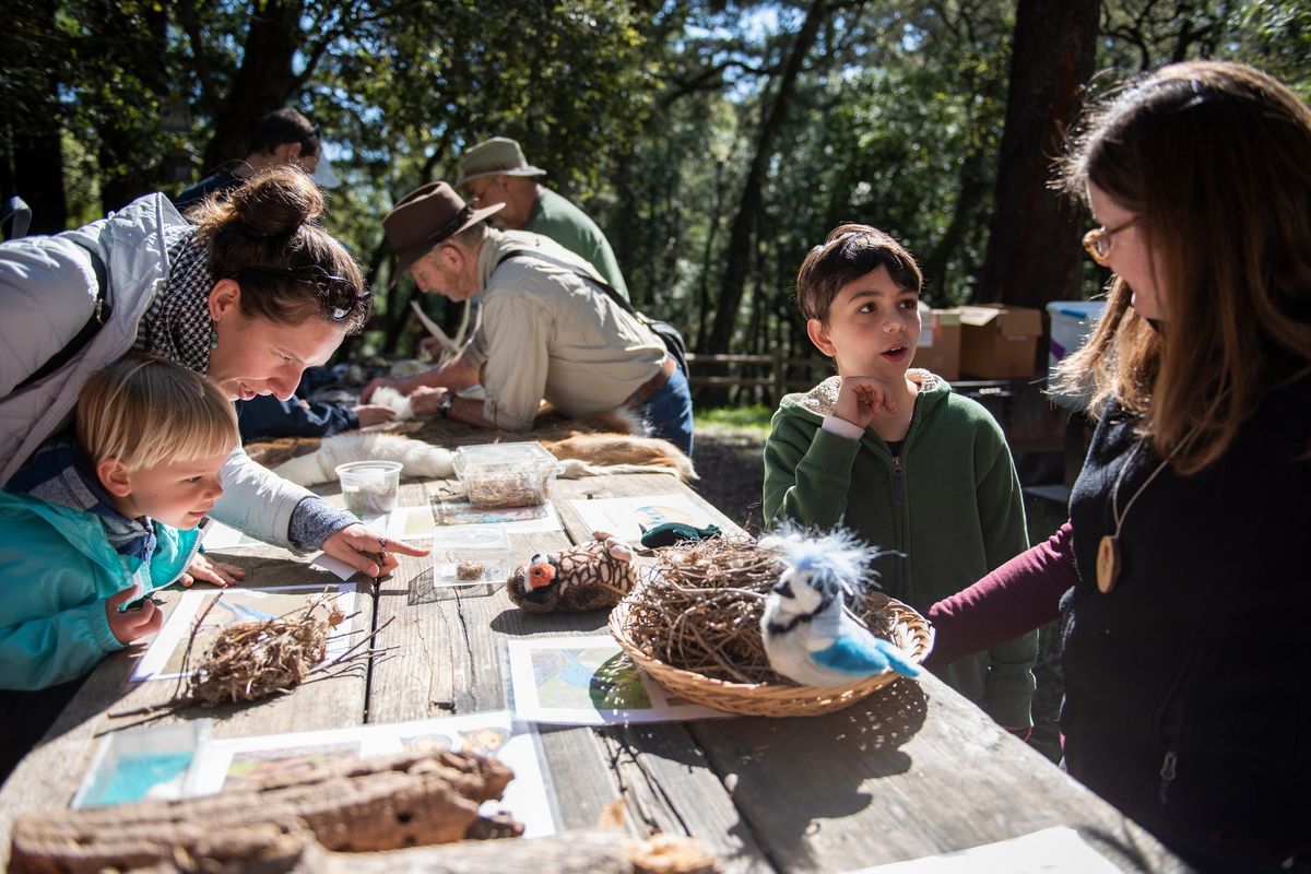 Family Nature Day