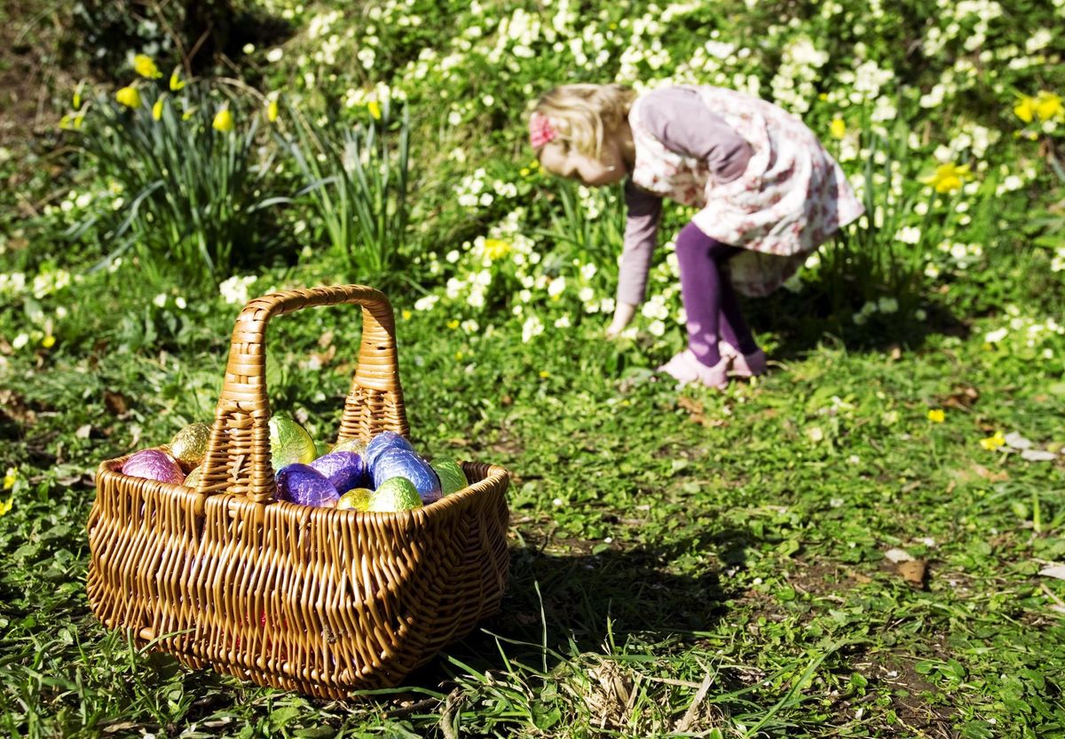 Hwyl y Pasg \/ Easter Eggstravaganza