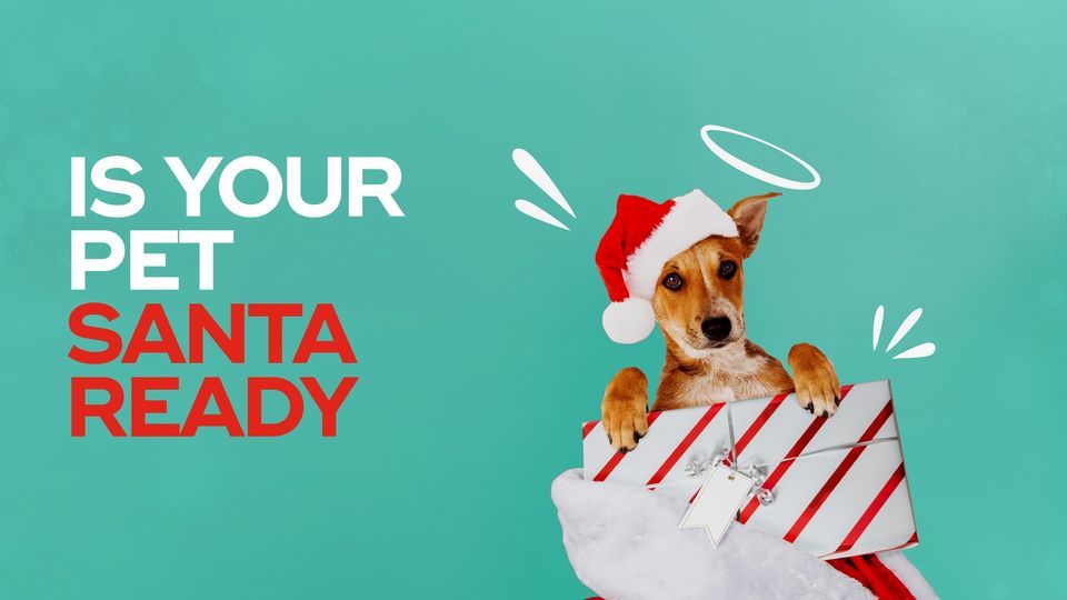 Pet photos with Santa