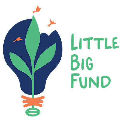 Little Big Fund