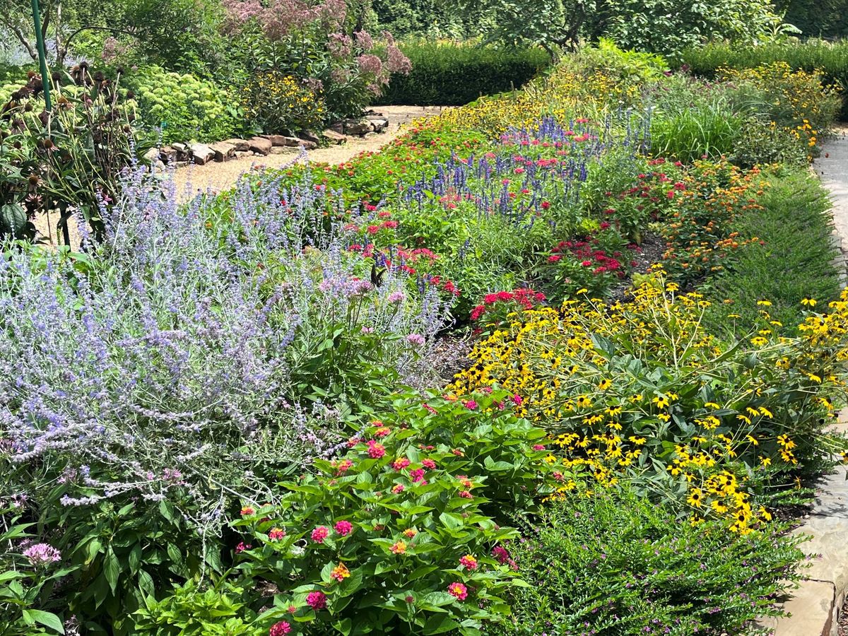 Garden Walk & Talk: Butterfly Garden