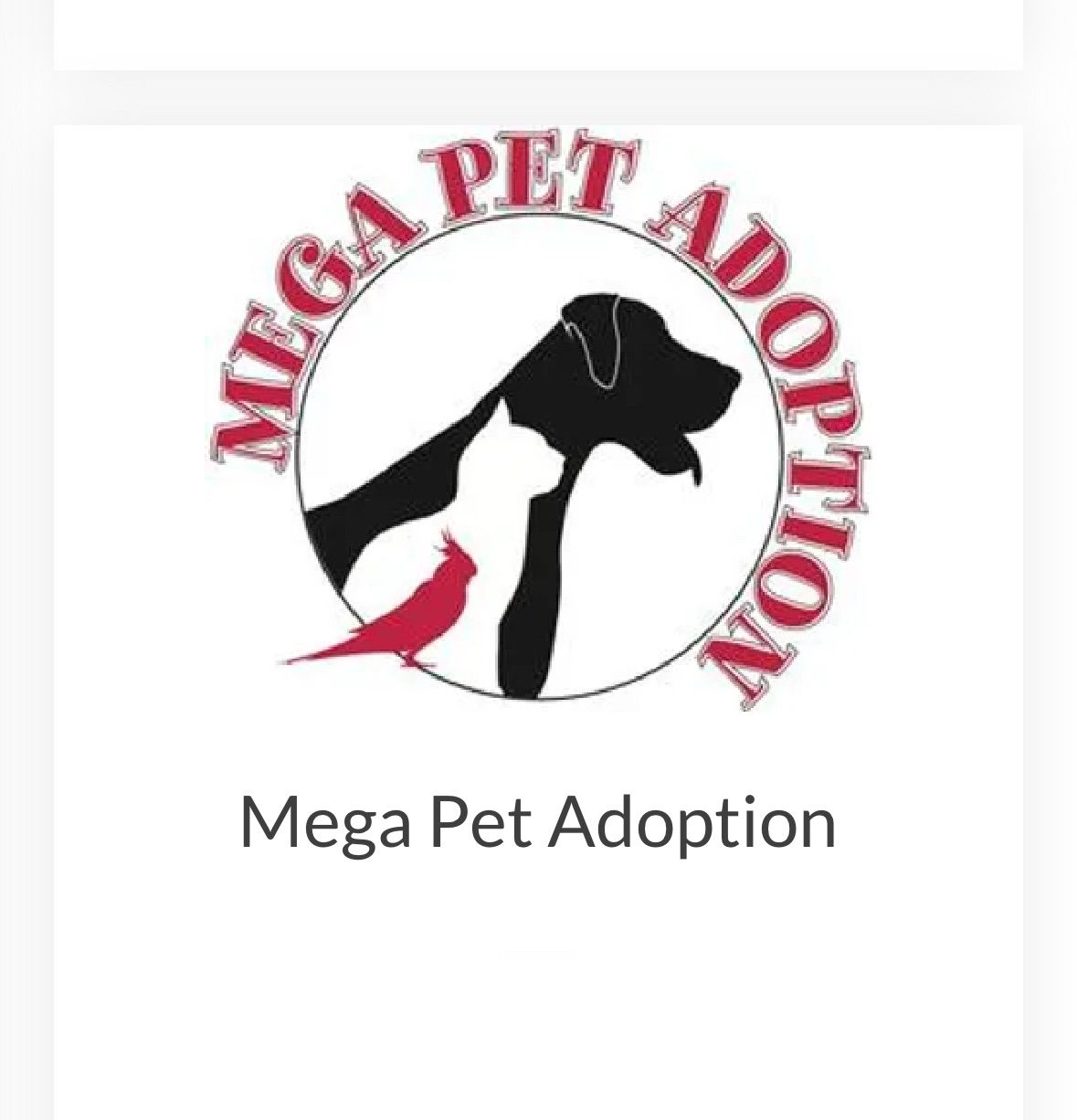 Mega Pet Adoption 