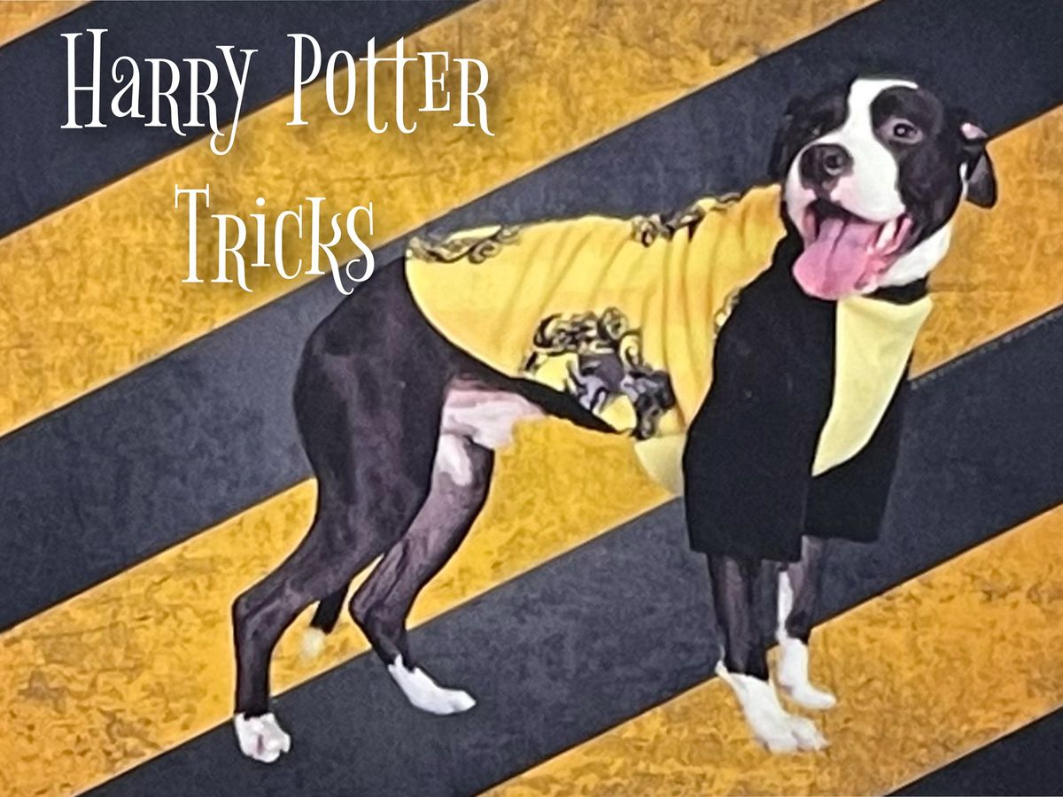 Harry Potter Tricks Class