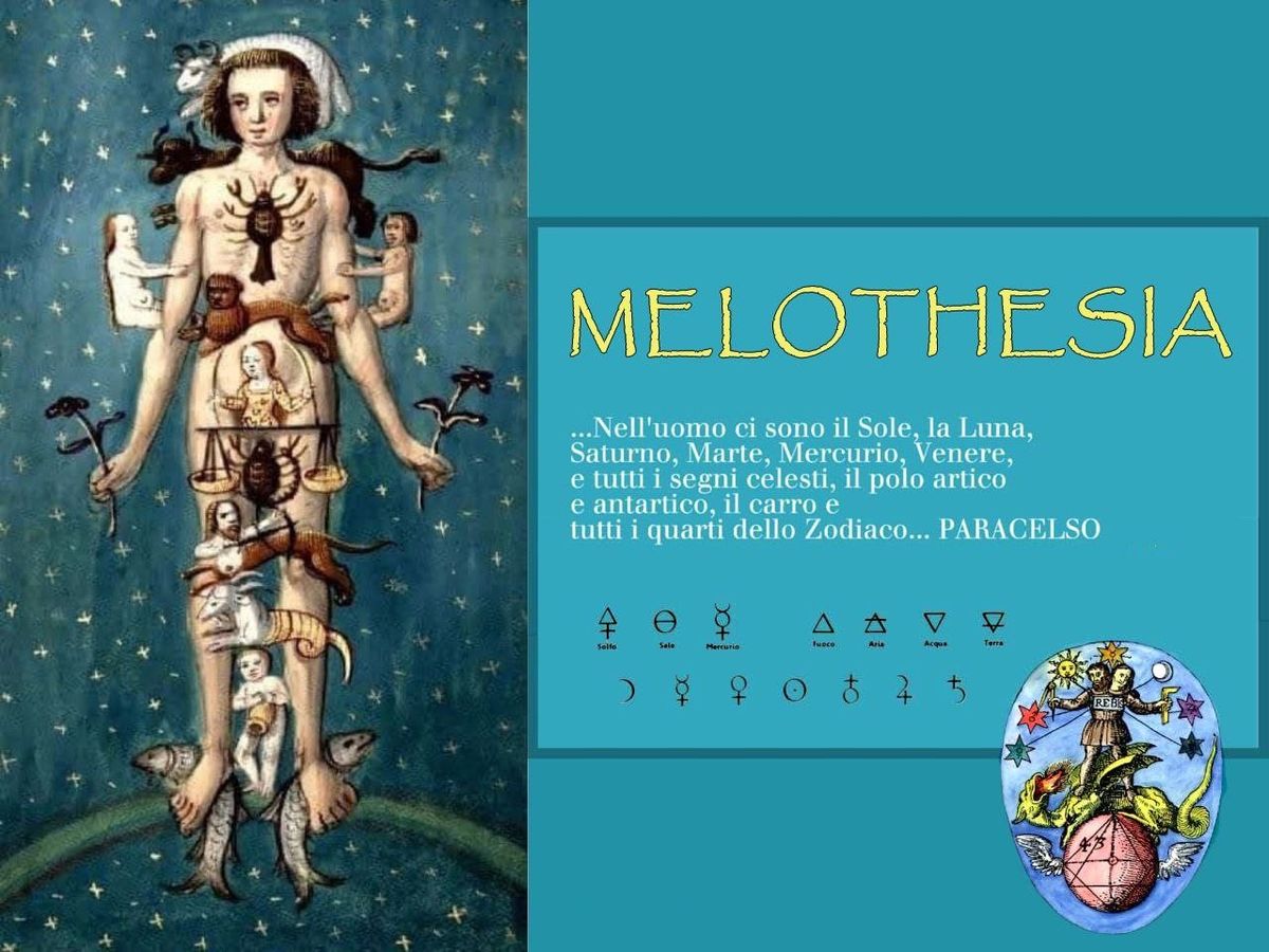 MELOTHESIA  