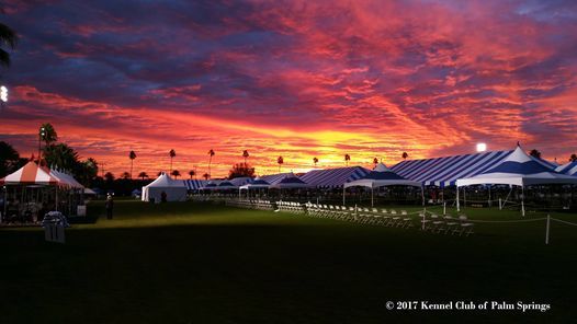 Kennel Club of Palm Springs Dog Show 2022, Kennel Club of Palm Springs, Empire Polo Grounds