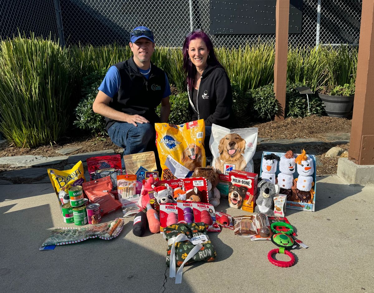 Dog Toy & Food Drive - ALL MONTH!