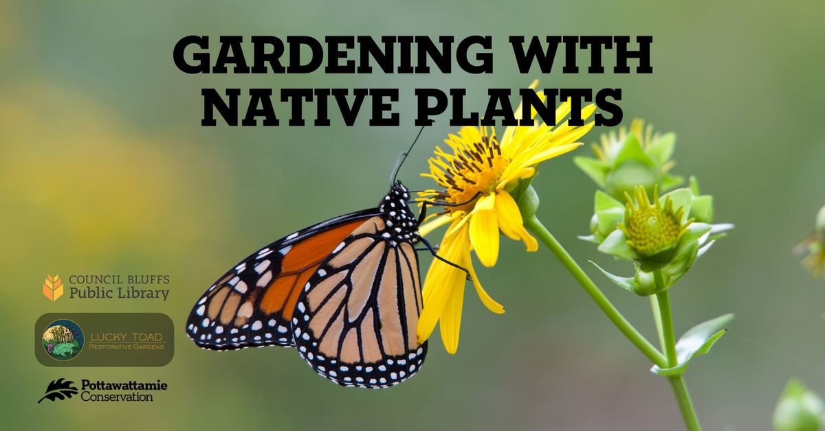 Gardening With Native Plants | Garden Design with Lucky Toad Restorative Gardens