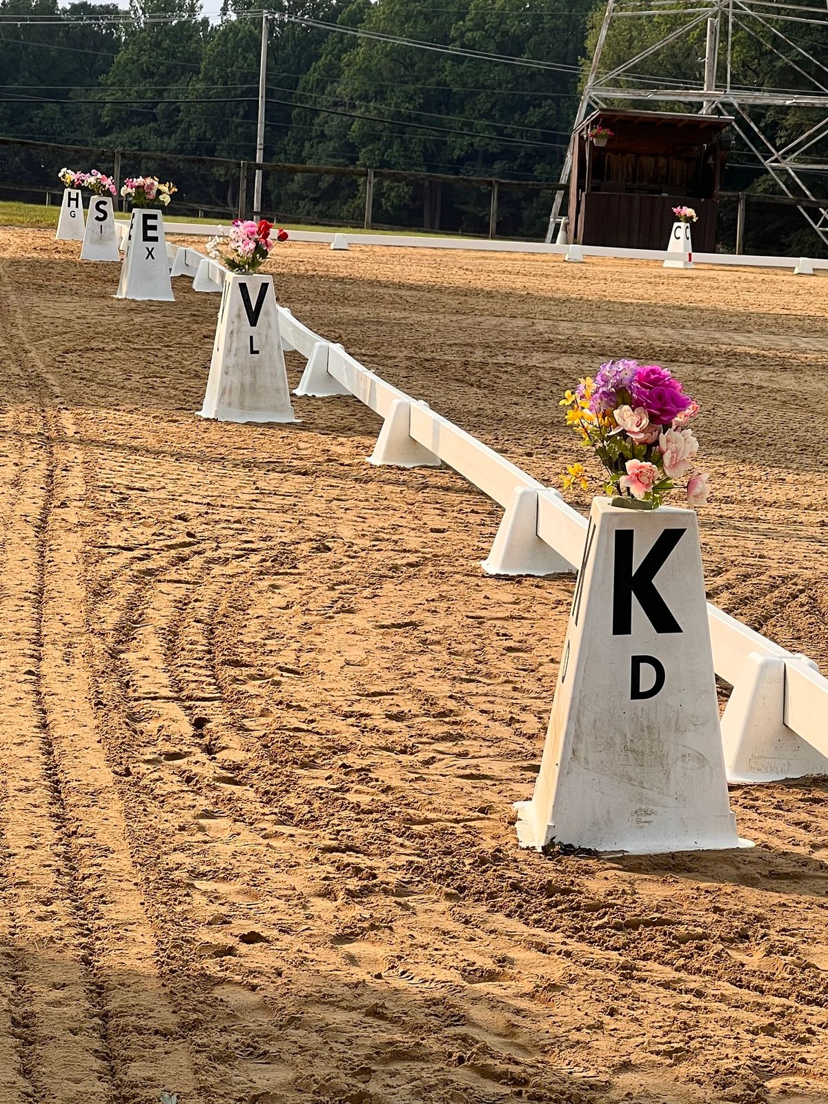 Combined Test & Dressage schooling show at BGS