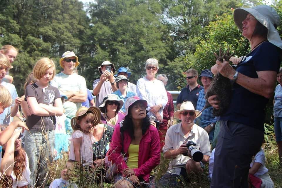 Atarau Sanctuary - Kiwi Creche Public Open Day