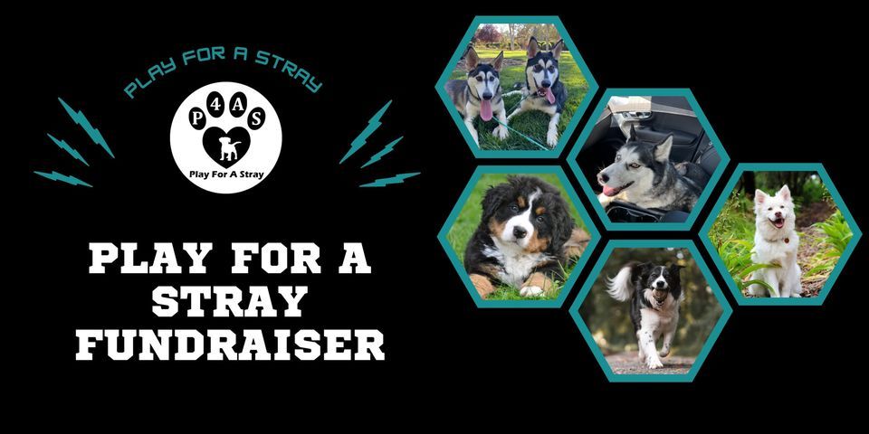 Eat For A Stray at Skipolini\u2019s Concord