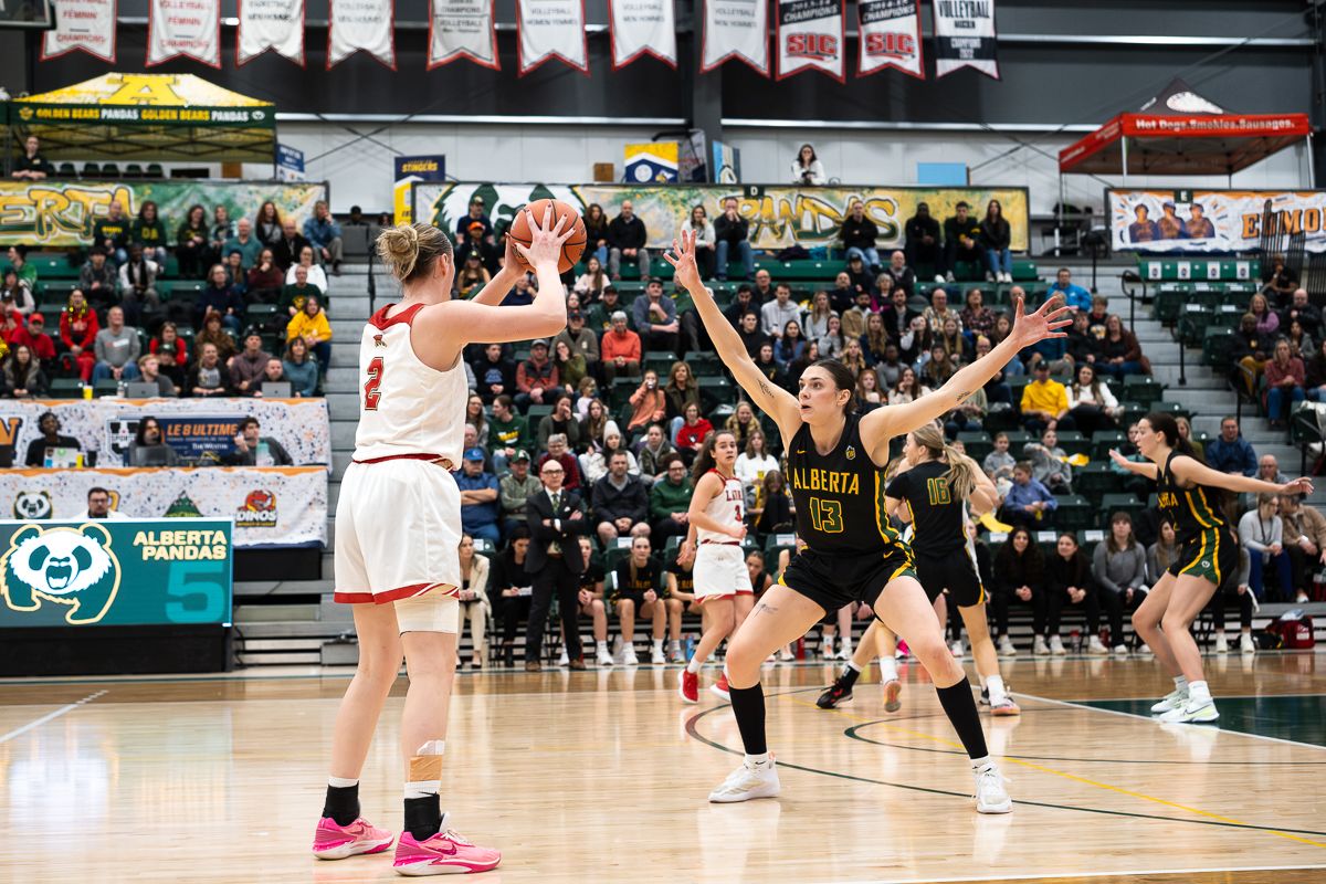 Calgary Dinos at Golden Bears and Pandas Mens Baskeball