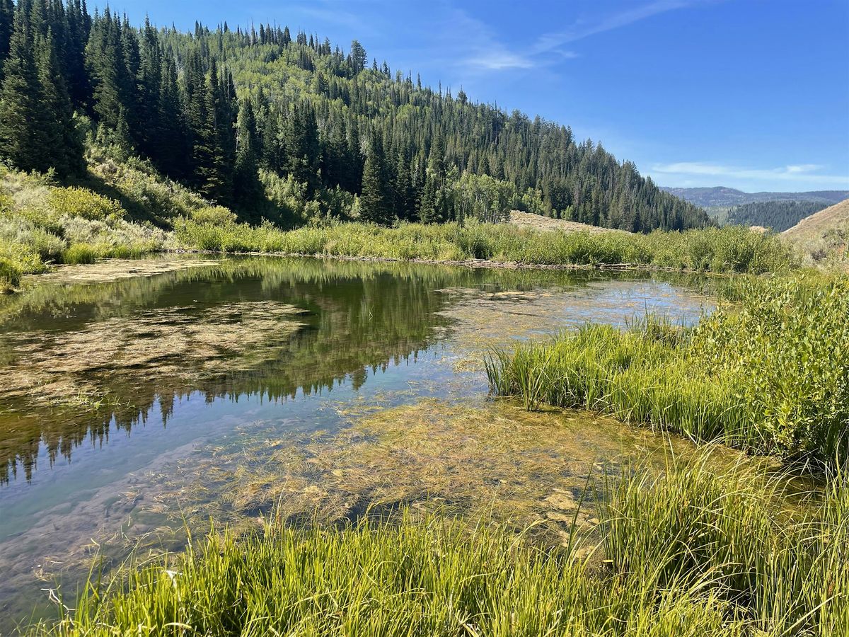 Day Trip: Bills Basin Beaver Ponds (ride with Zoo)