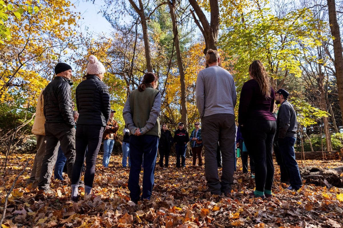 Public Event: Forest Bathing to Nourish the Mind, Body, & Soul