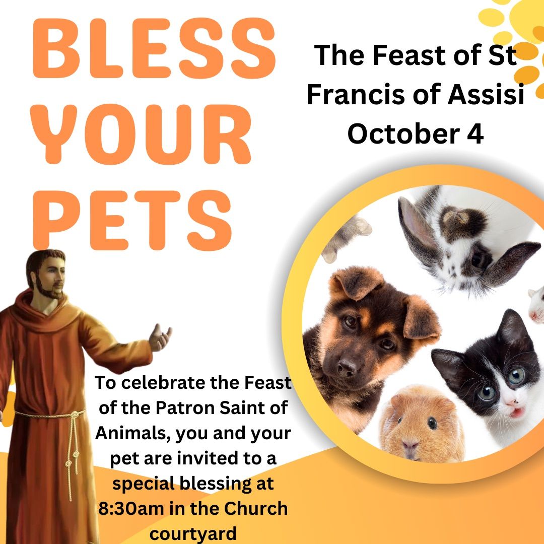 St Francis of Assisi Feast day