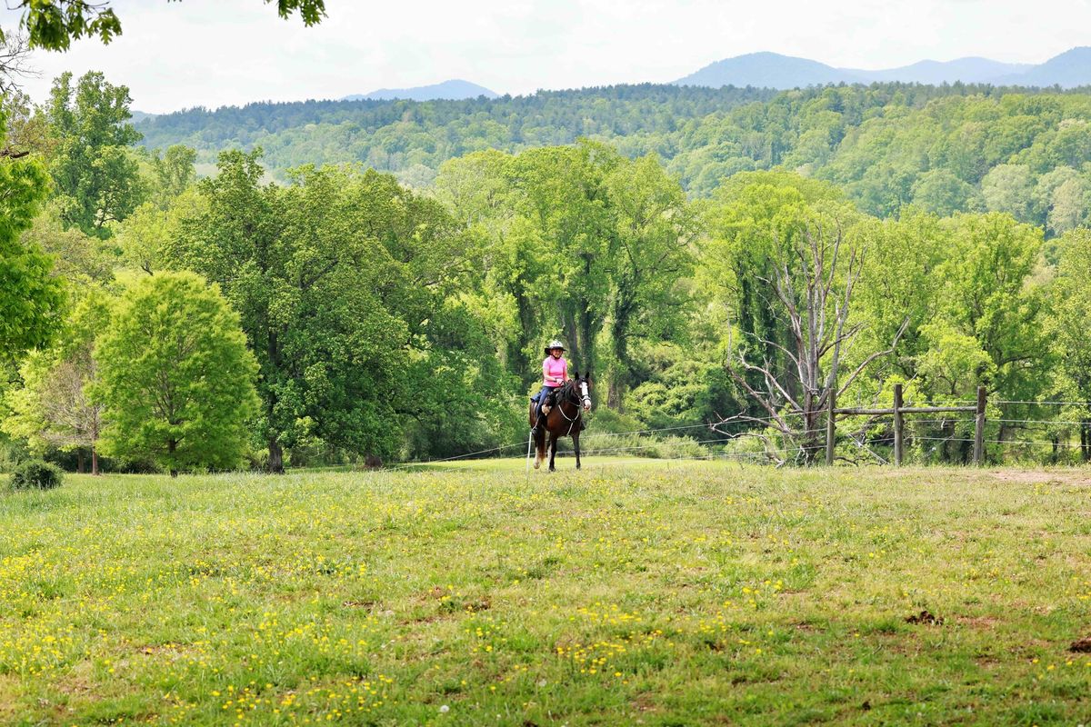 Biltmore Fall Endurance Ride to Benefit Hope for Horses 