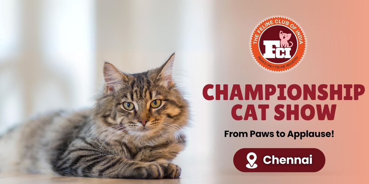 Championship Cat Show Chennai