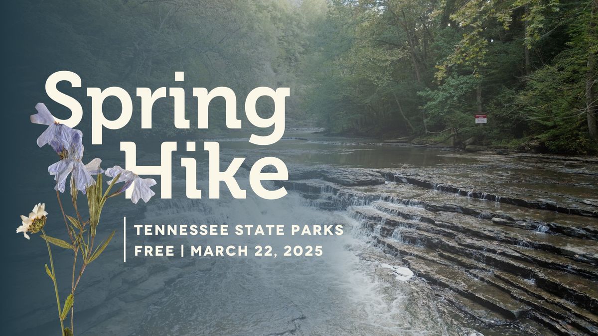 Burgess Falls Spring Hike