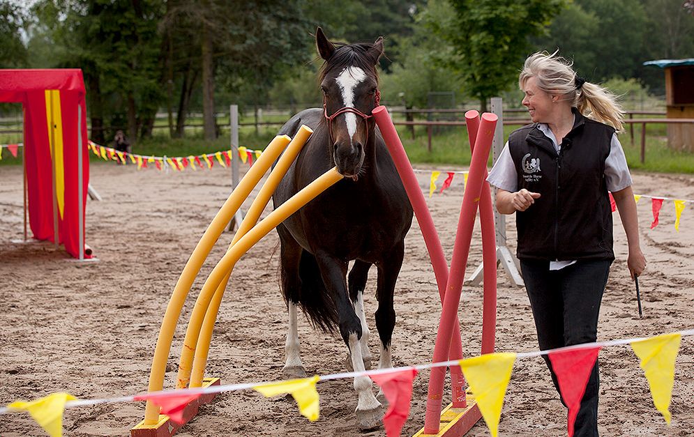 Horse Agility\/TREC Lesson at Calvert Trust with Amanda-Jane Brown - MARCH