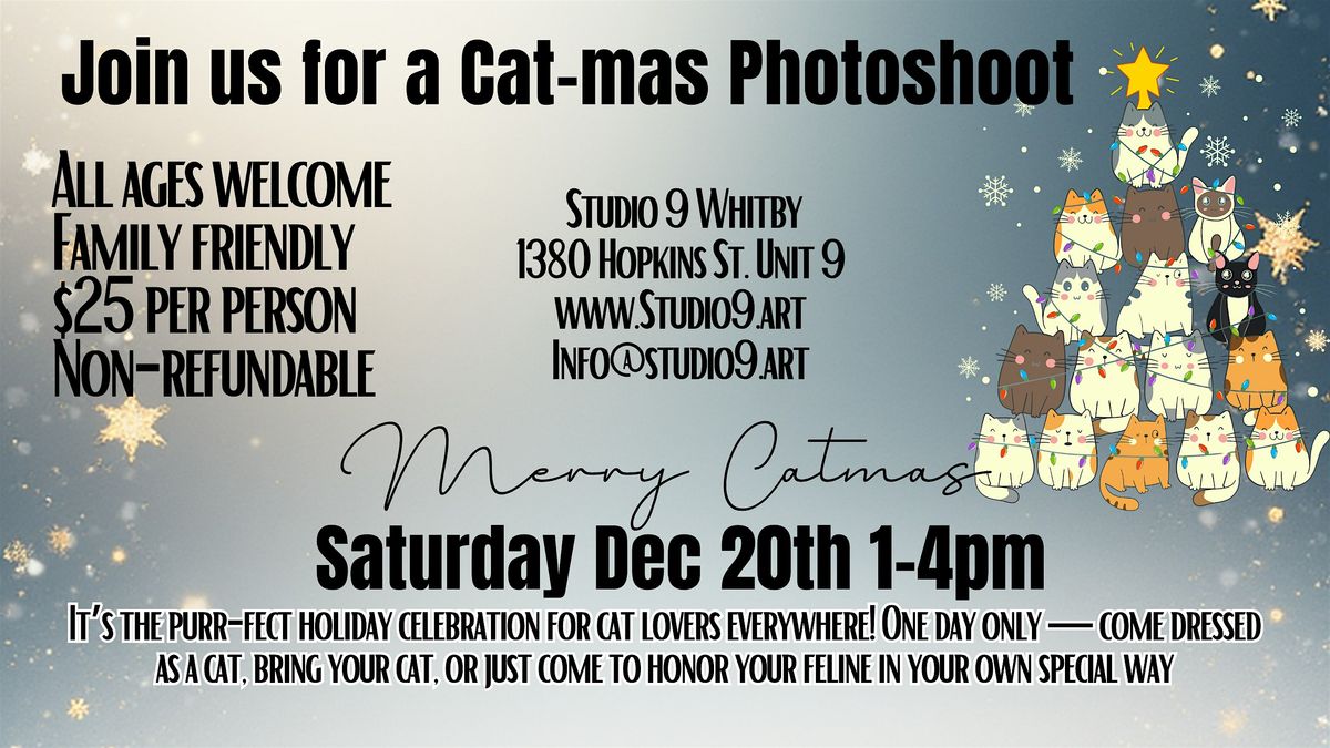 A Cat-Mas Photoshoot for Cats & Cat Lovers