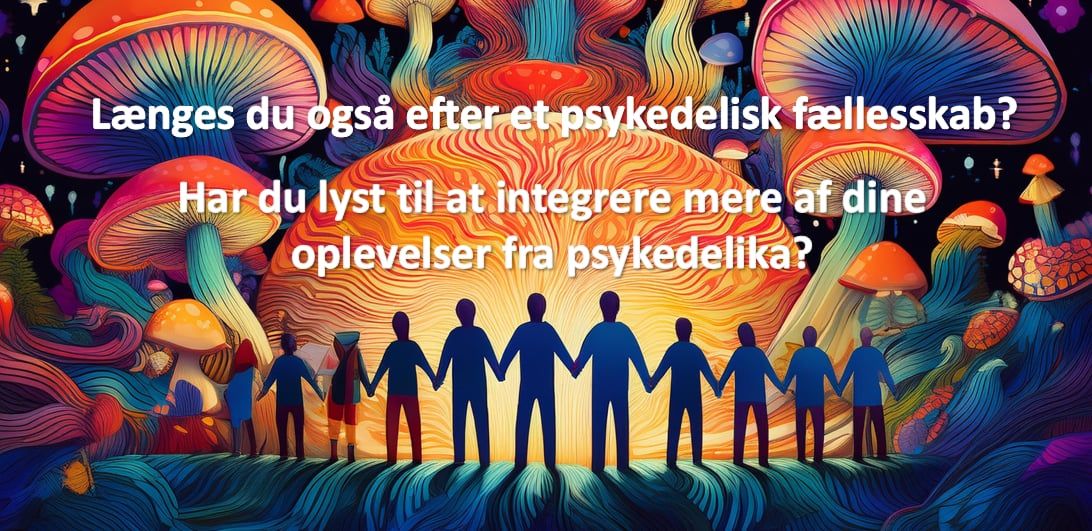 Din IntegrationsCirkel efter\u00e5ret 2024 - Fire aftener dedikeret integration