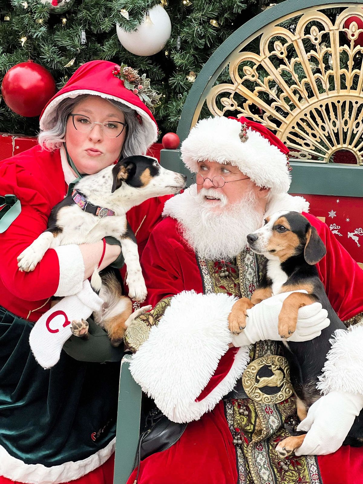 Pet Photos with Santa to benefit Luna Farms Rescue