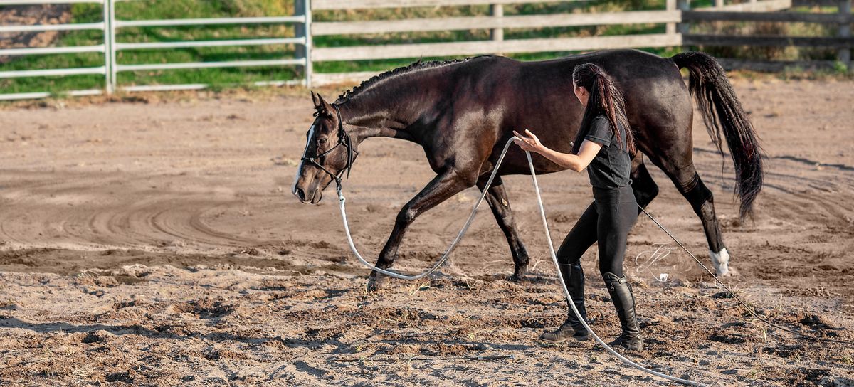 Posture, Muscle Tone & Movement 1-Day Ground Clinic, Nar Nar Goon VIC 