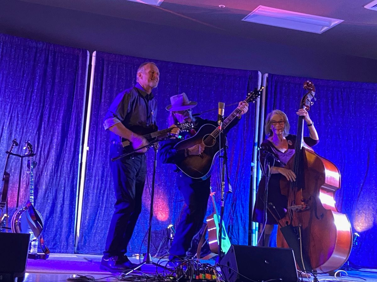 Homebrew  Stringband at the Grain Shed Taproom