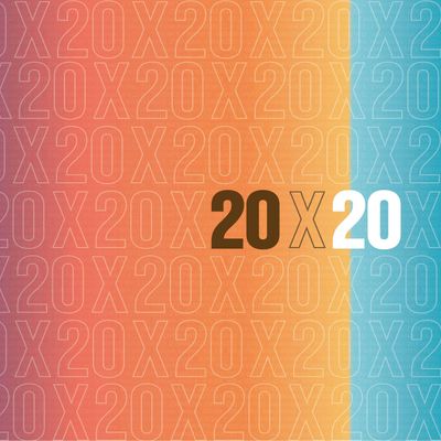 20x20