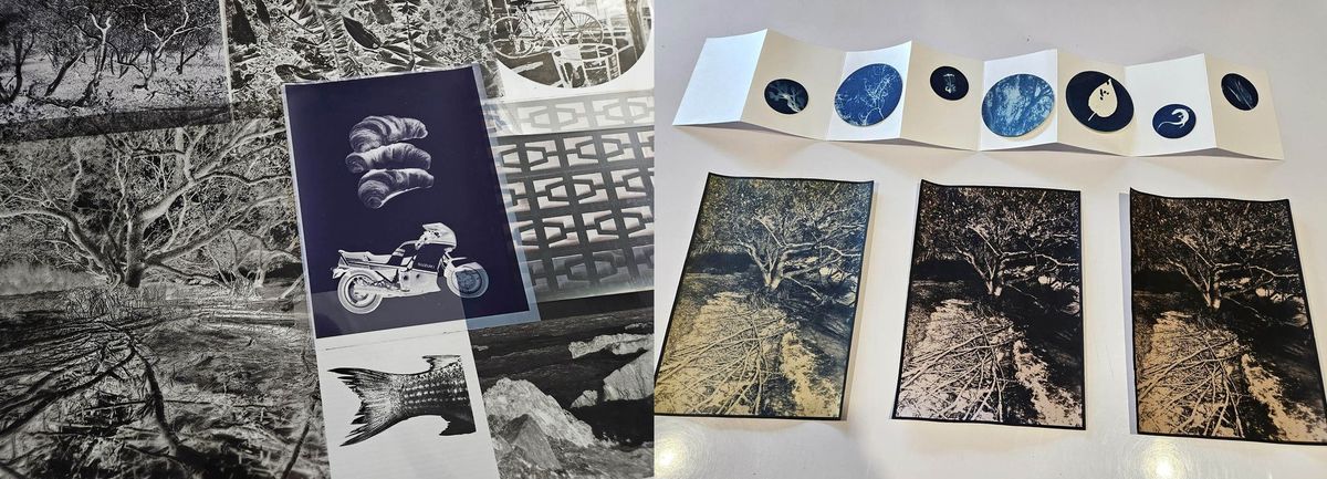 Full Day Workshop - Cyanotype Photograms including how to make and print digital negatives