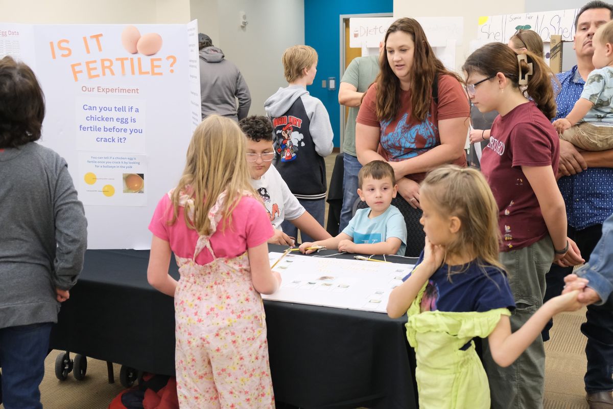 Homeschool Science Fair