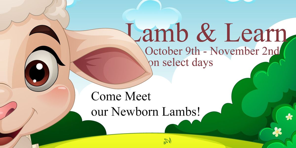 Lamb and Learn