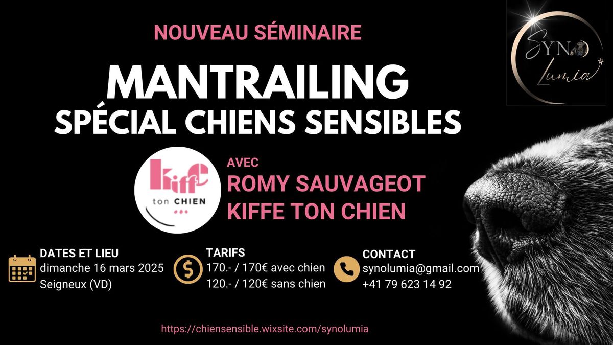 Mantrailing sp\u00e9cial chiens sensibles, avec Romy Sauvageot