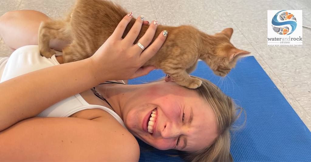 Rescue Cat & Kitten Yoga - Charlotte, NC!