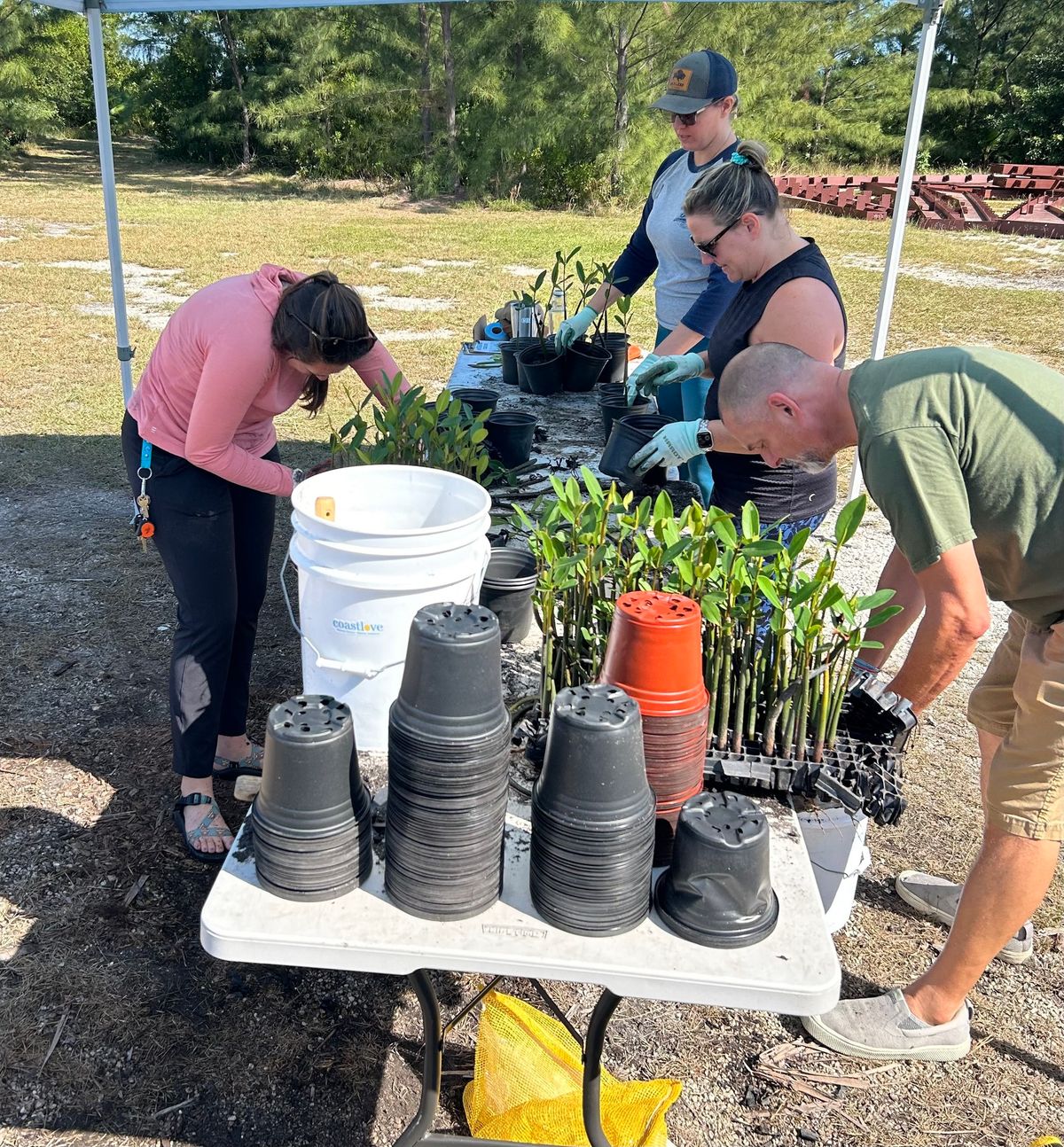 Mangrove Nursery Volunteer Day