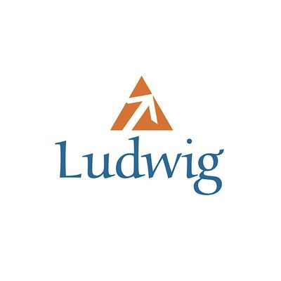 Ludwig Business Consultants