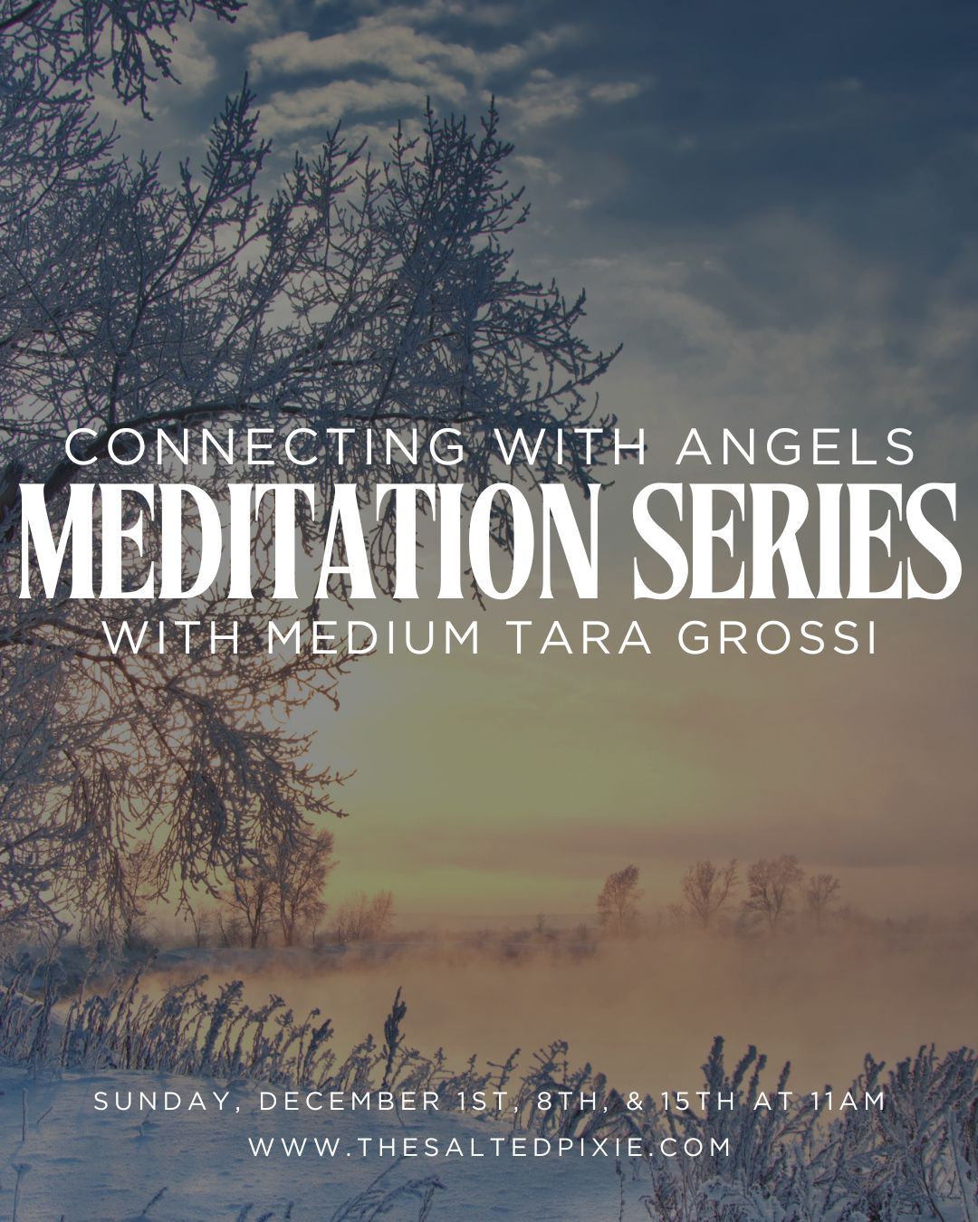 Connect with Angels Meditation Series w\/Medium Tara Grossi