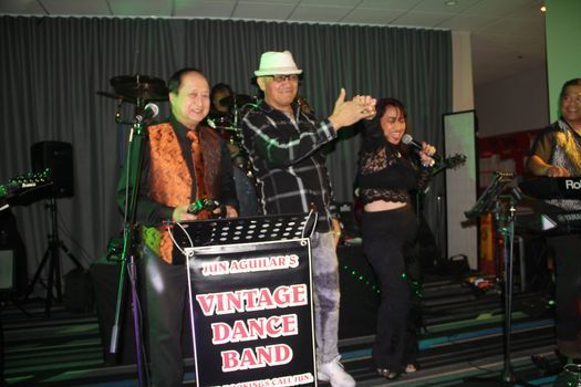 Vintage Plus Dance Band
